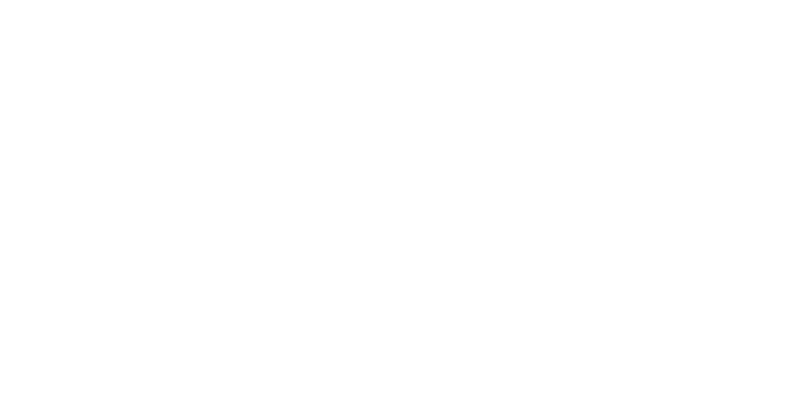 PeopleVy